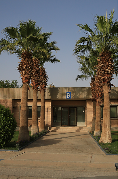 Rectangle 180.png (2)